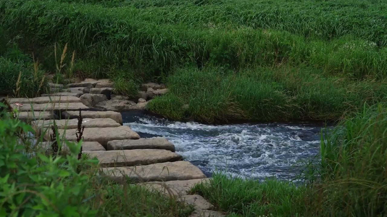 Relaxing Ambient Music & Nature Sounds - Frogs, Ducks, Water, Thunder (Best heard with headphones)