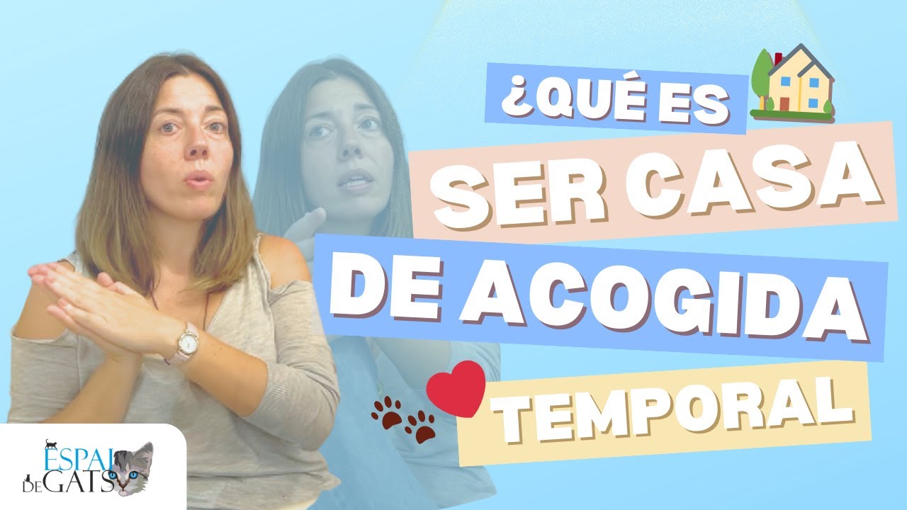 &iquest;Qu&eacute; es ser CASA de ACOGIDA TEMPORAL? 🏡🐾🐈
