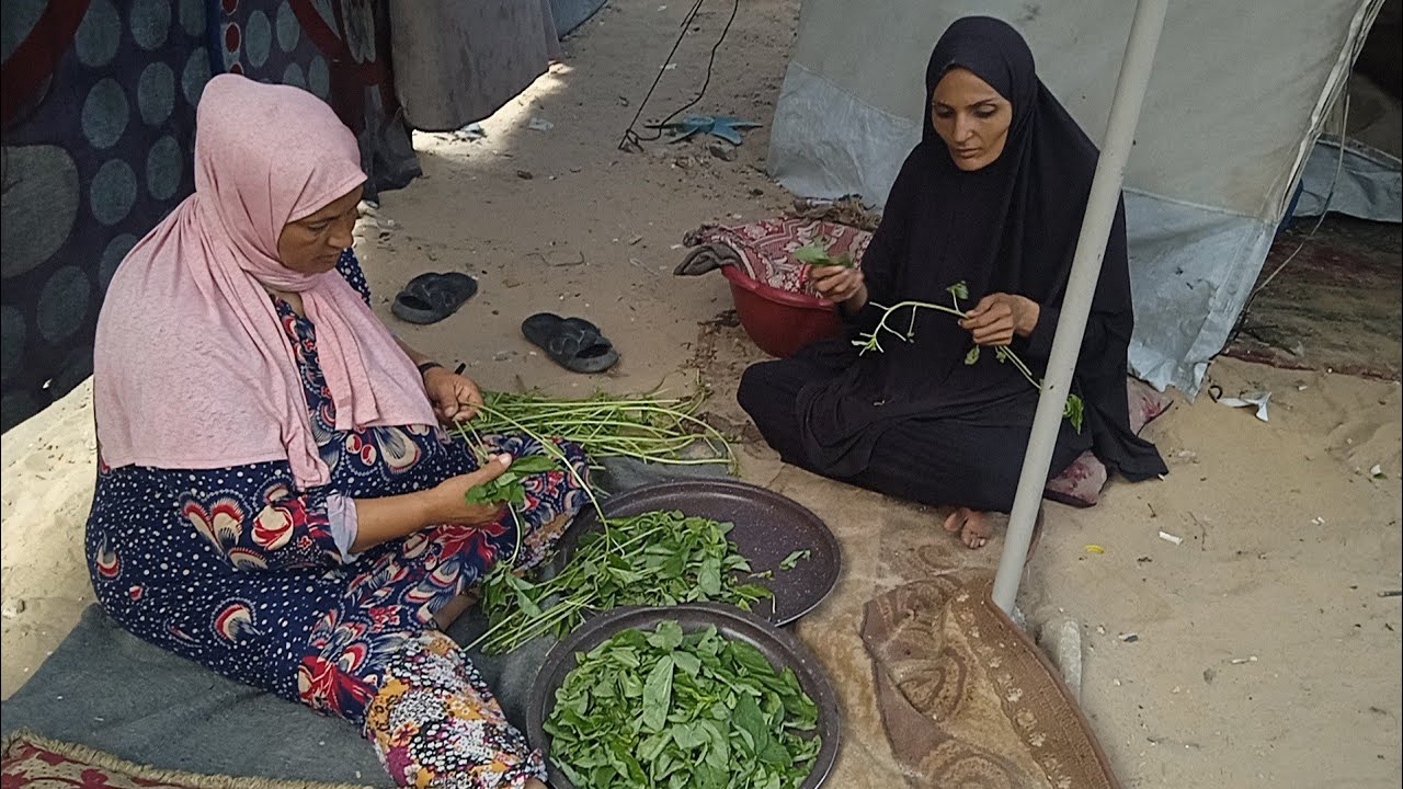  11 أغسطس ٢٠٢٥ ايش لي صار فينا في غ✌️زة يارب رحمتك علينا واقعنا لليوم في Ga za