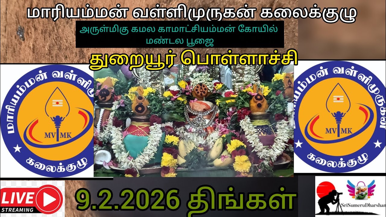 #Live#Vallikummi Dance🩰 Mariyamman vallimurugan Art Group Thuraiyur Pollachi