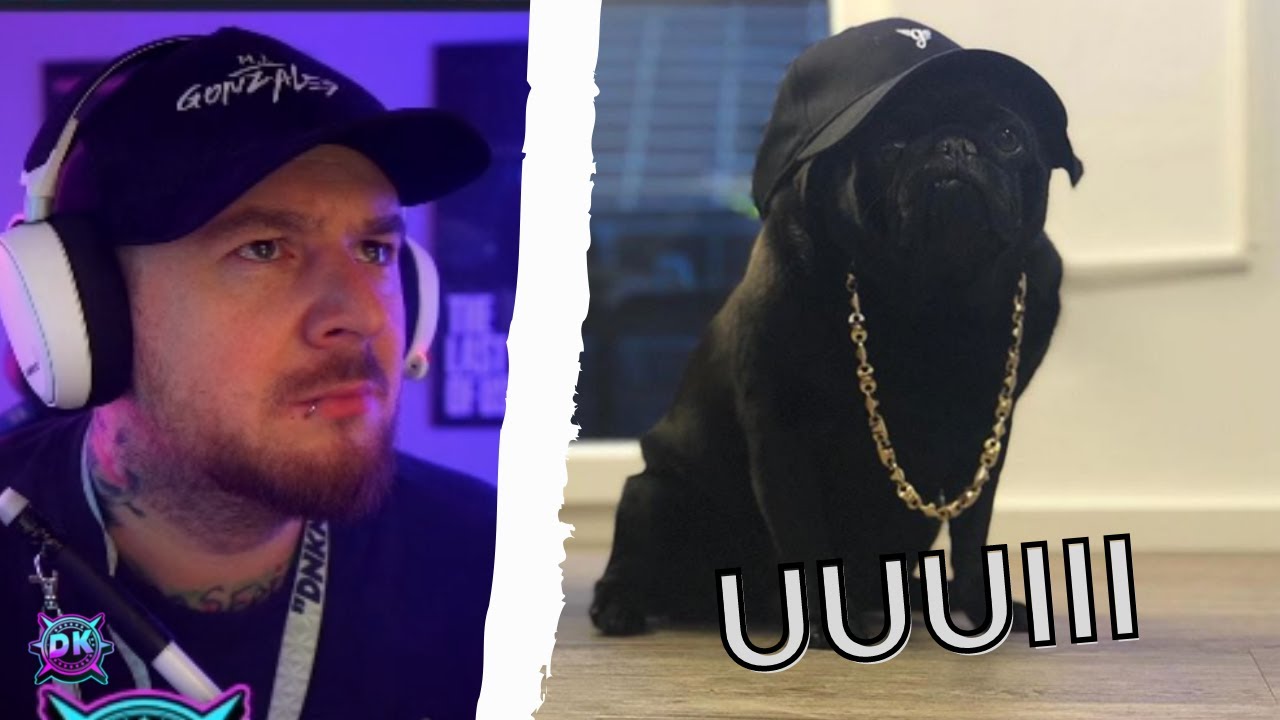 DerKeller REAGIERT 👀 auf HUNGRIGER HUGO😂🔥 | Der Keller Stream Highlights