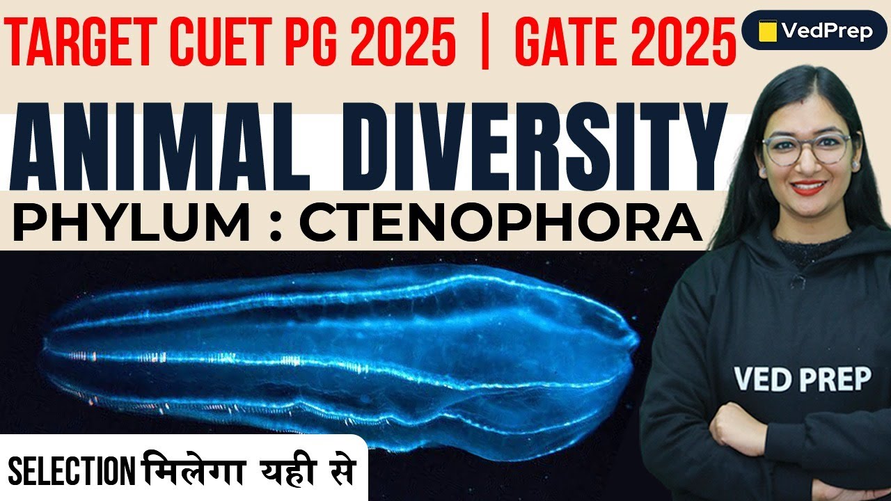 Animal Diversity | Phylum Ctenophore | CUET PG 2025 | GATE 2025 | VedPrep Biology Academy