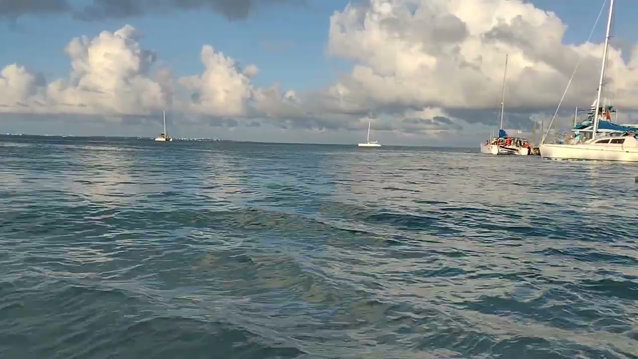 PLAYA TORTUGAS, Ideal si vienes a Cancún con niños.