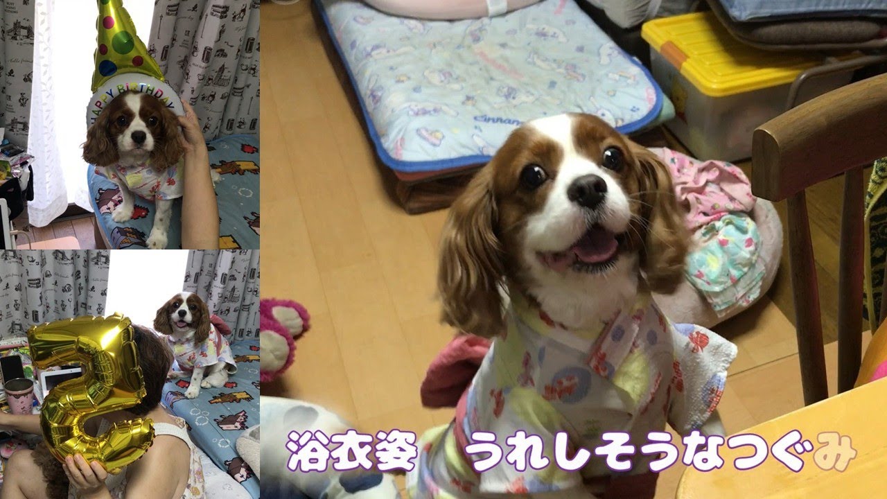 浴衣姿がかわいい　つぐみちゃん５歳　お誕生日おめでとう