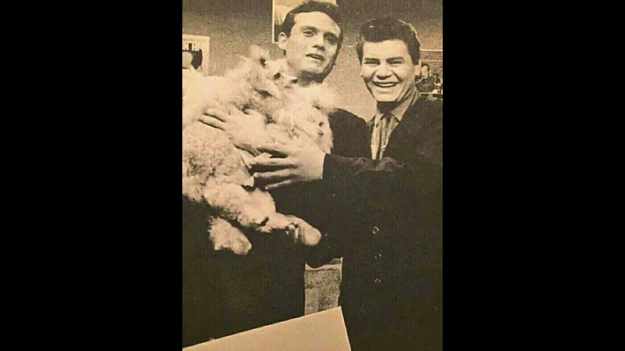 Donna Demo 1958- Ritchie Valens 8D Audio