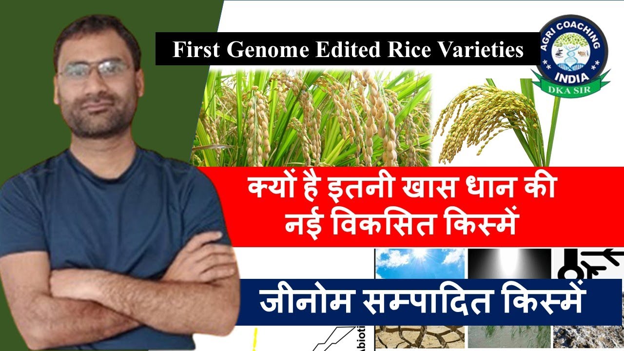 World first genome edited rice varieties | जीनोम सम्पादित किस्में  | धान की नई किस्मों की विशेषतायें
