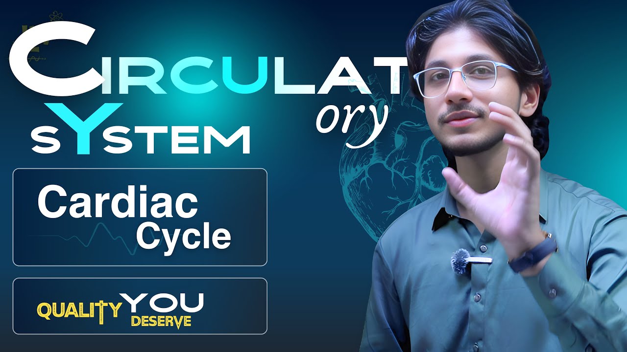 Cardiac Cycle | MDCAT Biology 2025 Edition | Quality You Deserve 