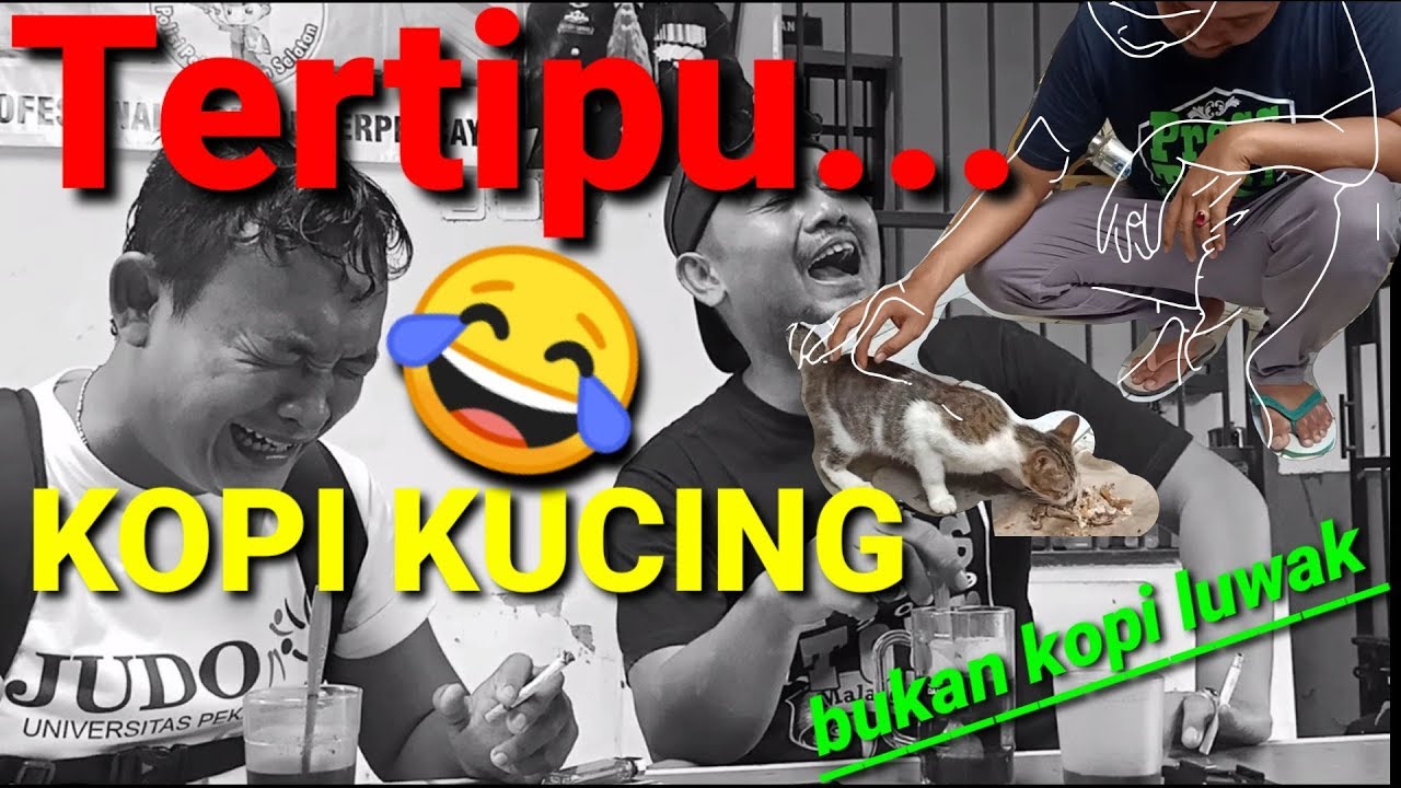 Tertipu...Kopi Kucing bukan Kopi Luwak