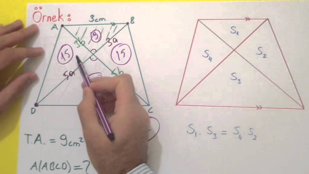 YAMUK 2 - ALAN - Şenol Hoca