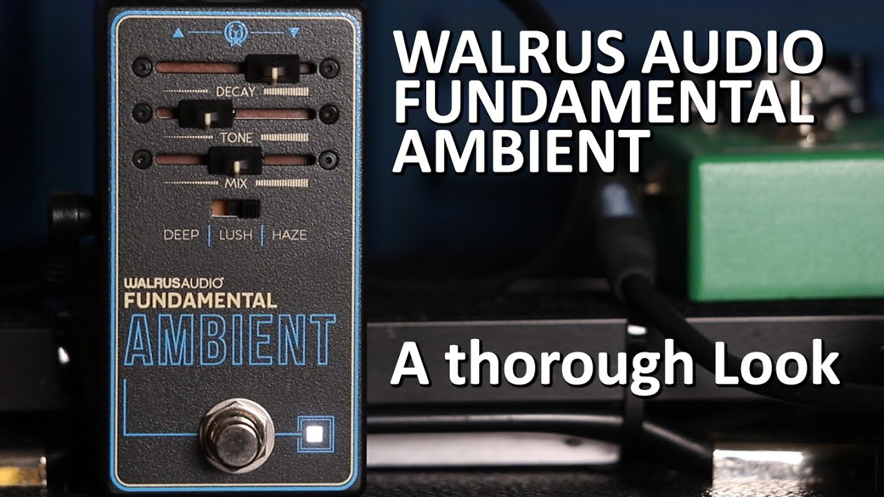 A thorough look at the WALRUS AUDIO Fundamental Ambient
