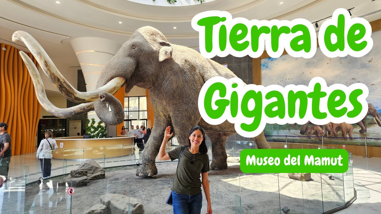Museo del Mamut - aprende y diviértete