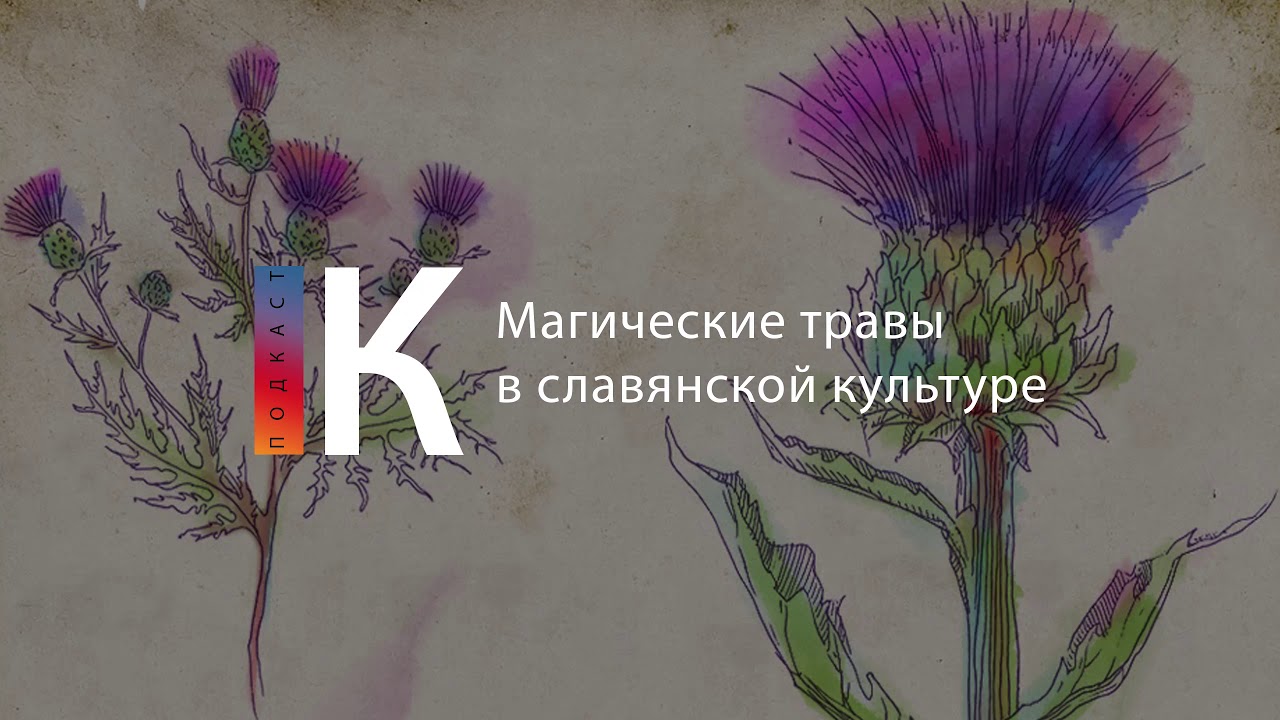 Подкаст. Магические травы в славянской культуре