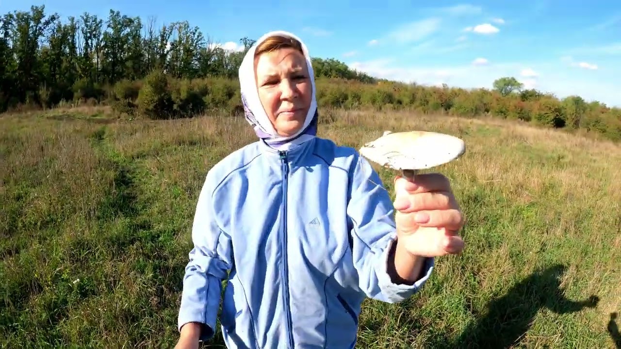 Дубовцевы и грибы.