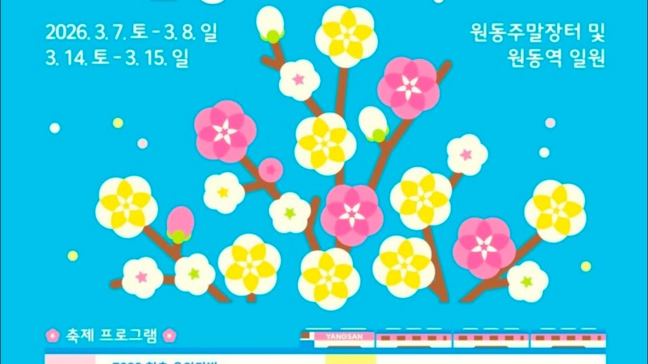 #원동매화축제 #원동순매원🌸 #원동매화