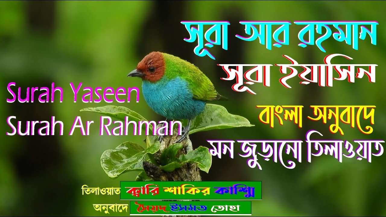 সূরা আর রহমান(Surah Ar Rahman-سورة الرحمن) ও সূরা ইয়াসিন (Surah Yaseen-سورة يس) এর কুরআন তিলাওয়াত