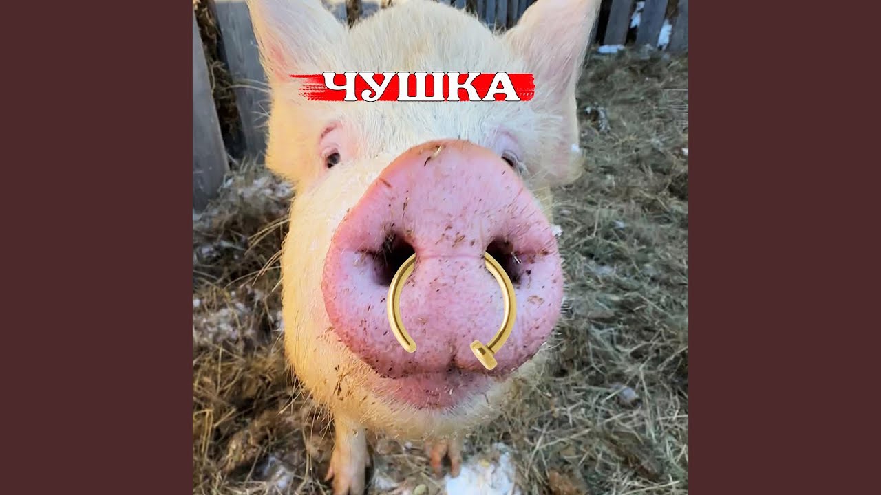 Чушка