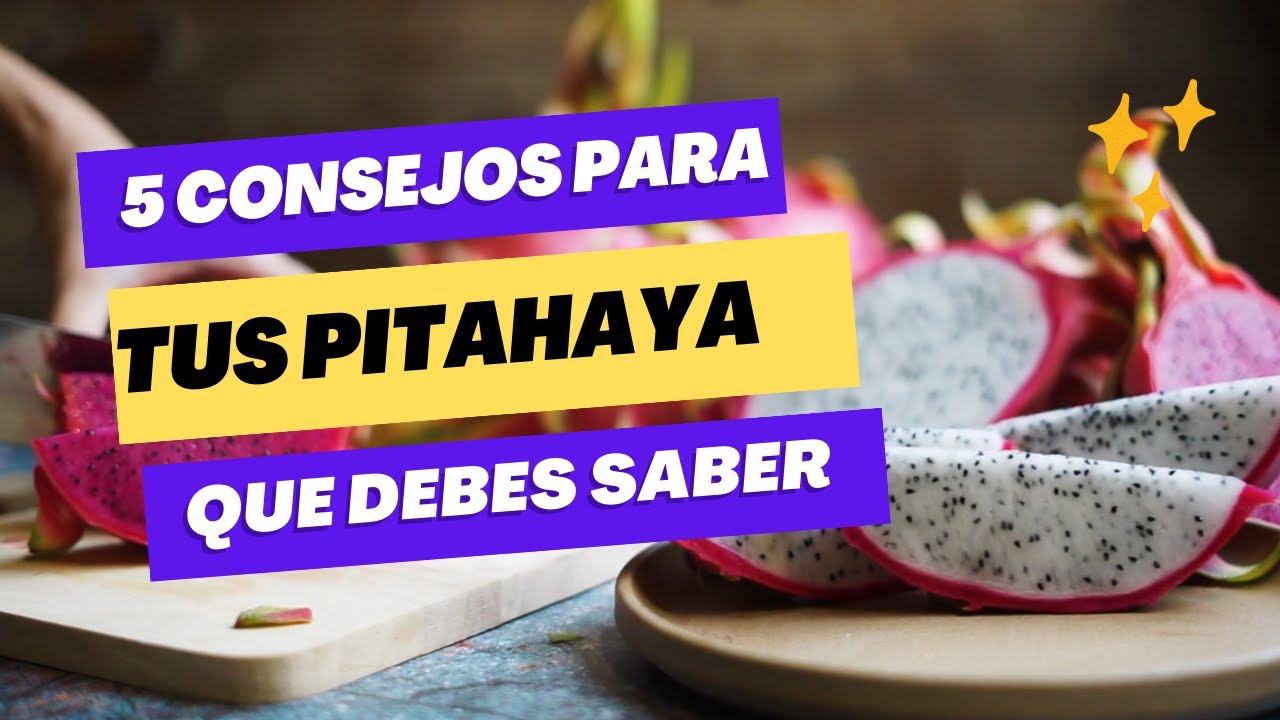 5 formas naturales de cuidar tus plantas de pitahaya