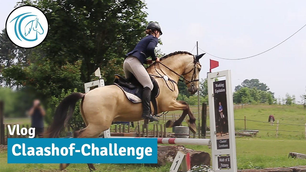 Working Equitation Turnier - Kommentierte Prüfungen der Klasse A