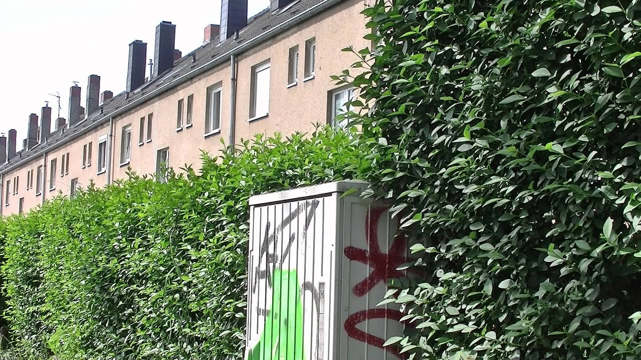 K&ouml;lner Stadtteile 