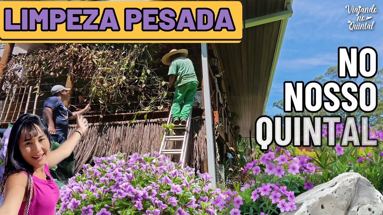 LIMPEZA PESADA NO NOSSO QUINTAL