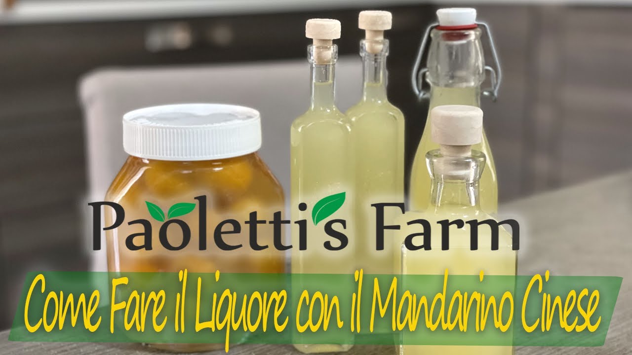 Come Fare il Liquore con il Mandarino Cinese (KUMQUAT) 🥃