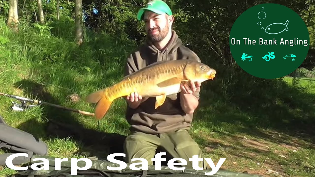 How to handle a Carp safely and correctly-Carp Fishing tips.