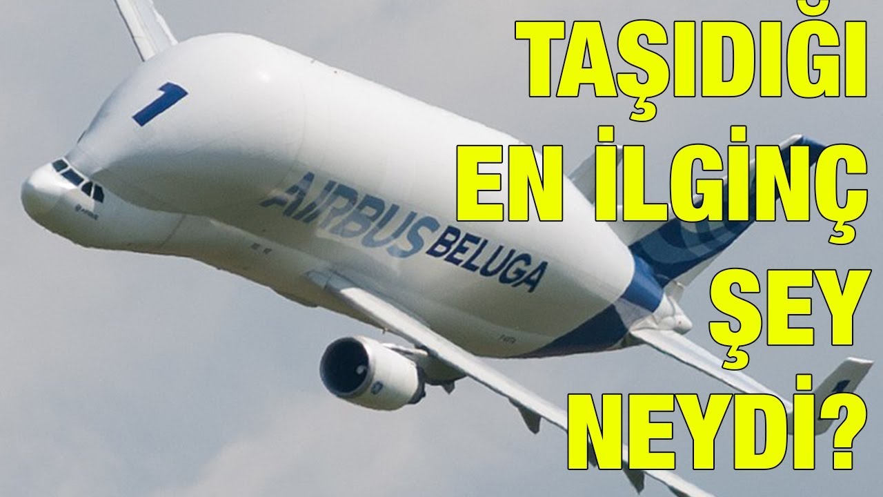 Airbus Beluga; uçak taşıyan uçak!