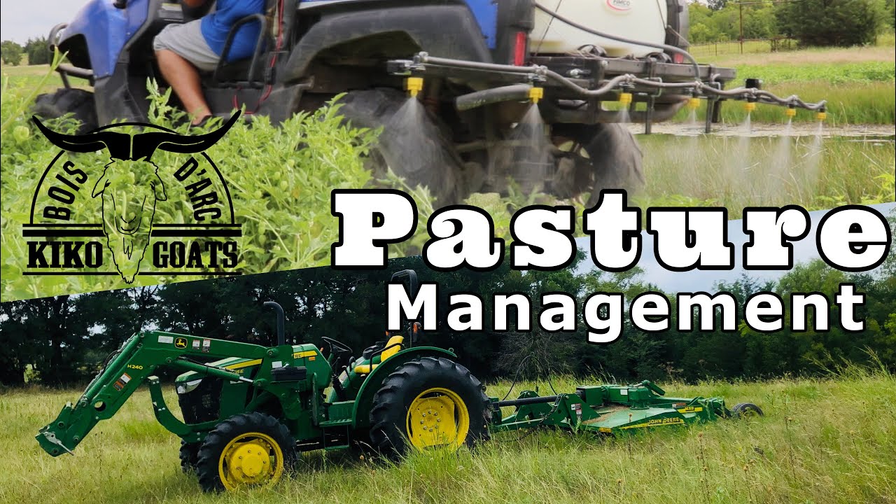 Pasture Management | Taking Care Of Our Pastures | Kiko Goats
