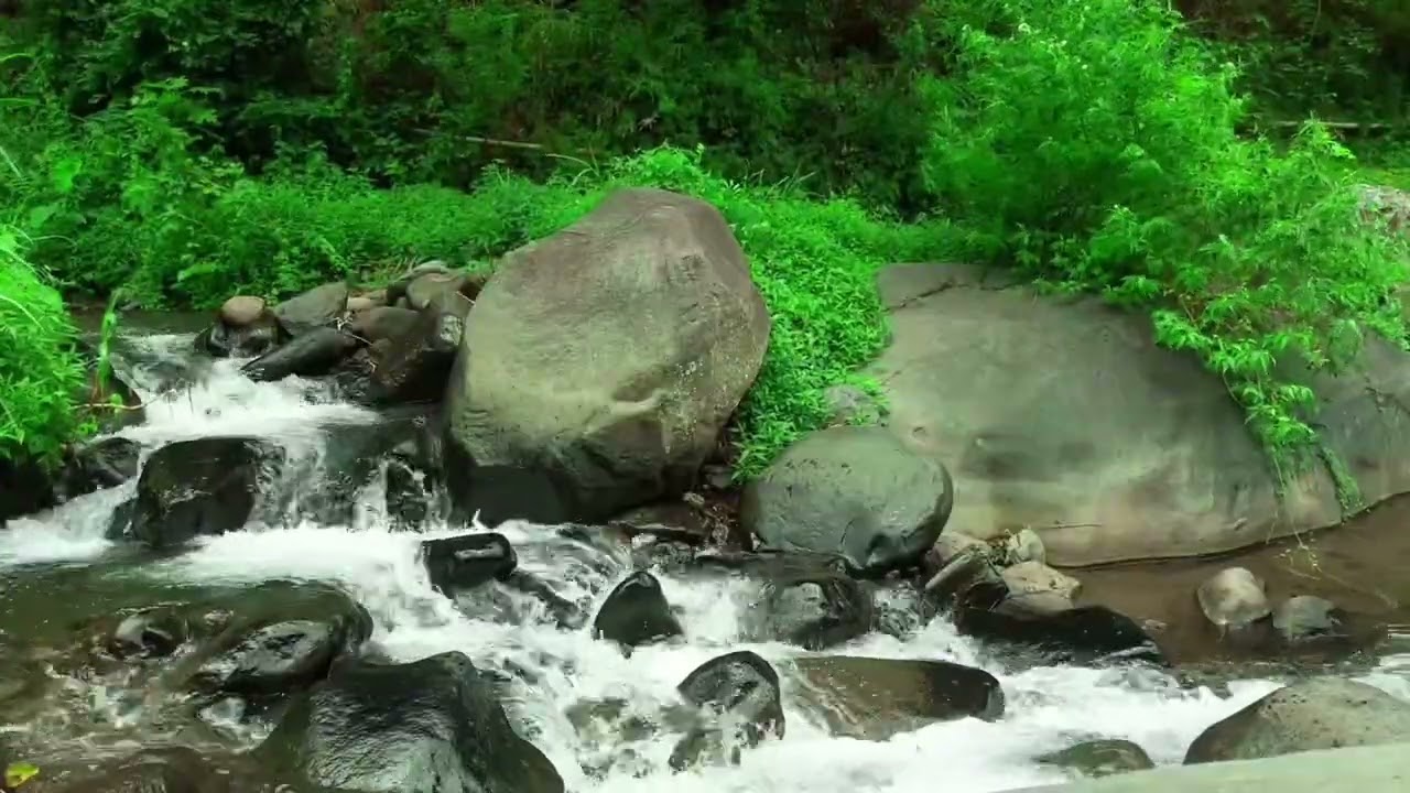 Nature Sounds of Peaceful Forest River | Deep Sleep and Relaxation Ambience