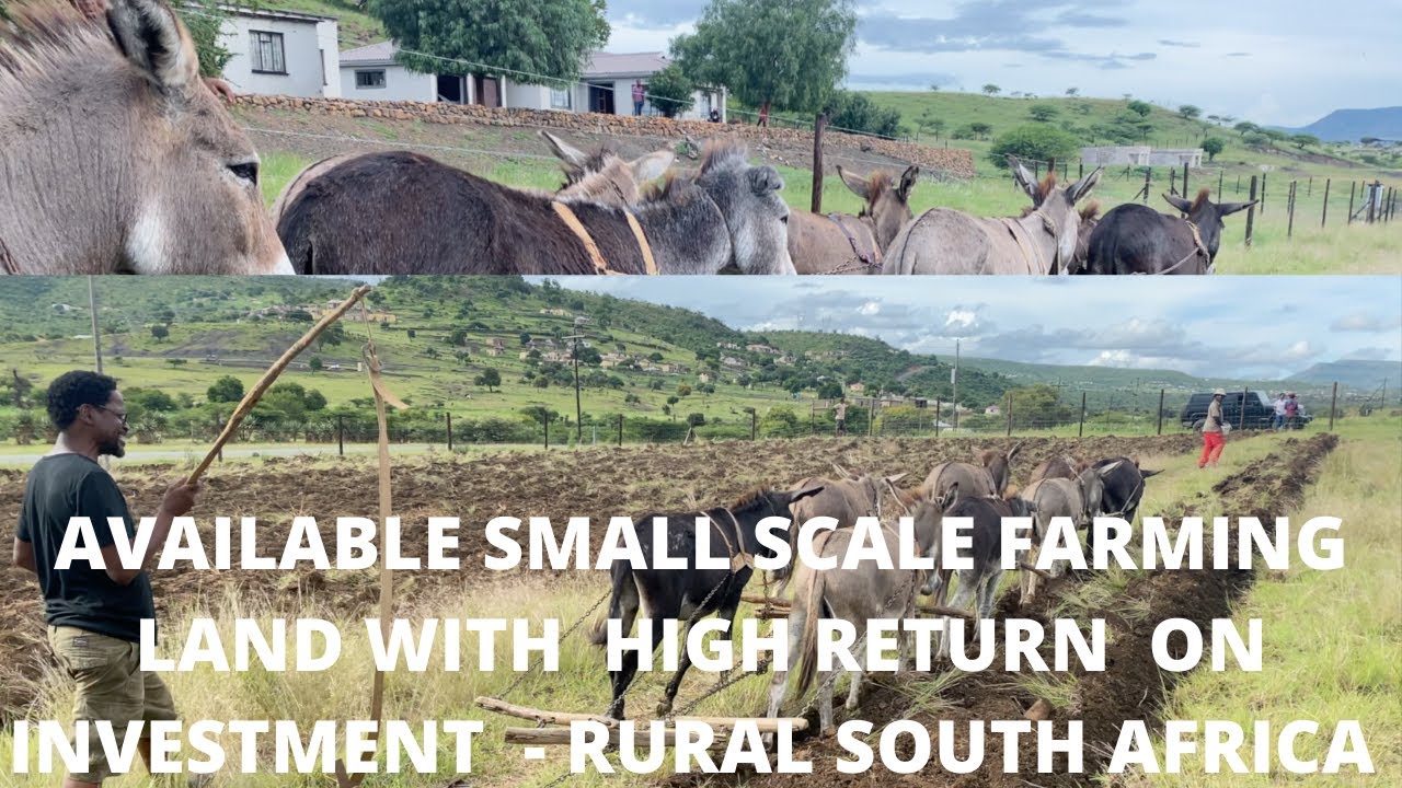 Available small scale farming land with high return on investment   Rural South Africa
