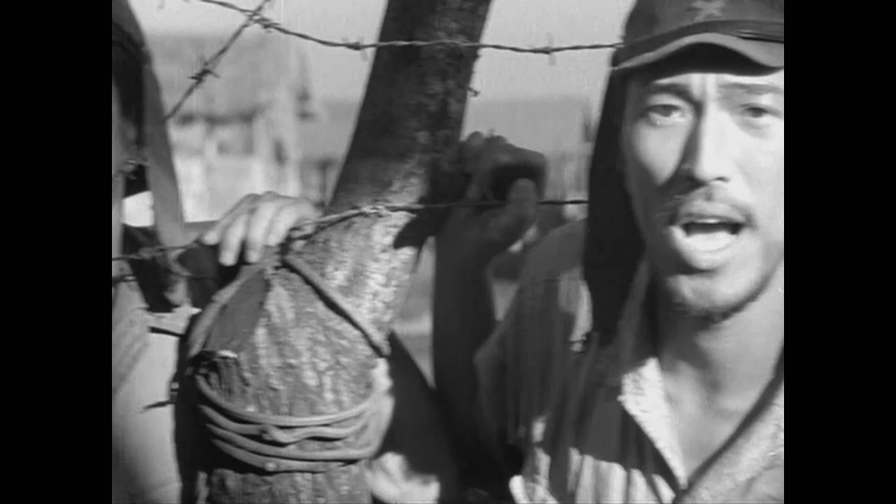 The Burmese Harp ビルマの竪琴 (1956) HD trailer