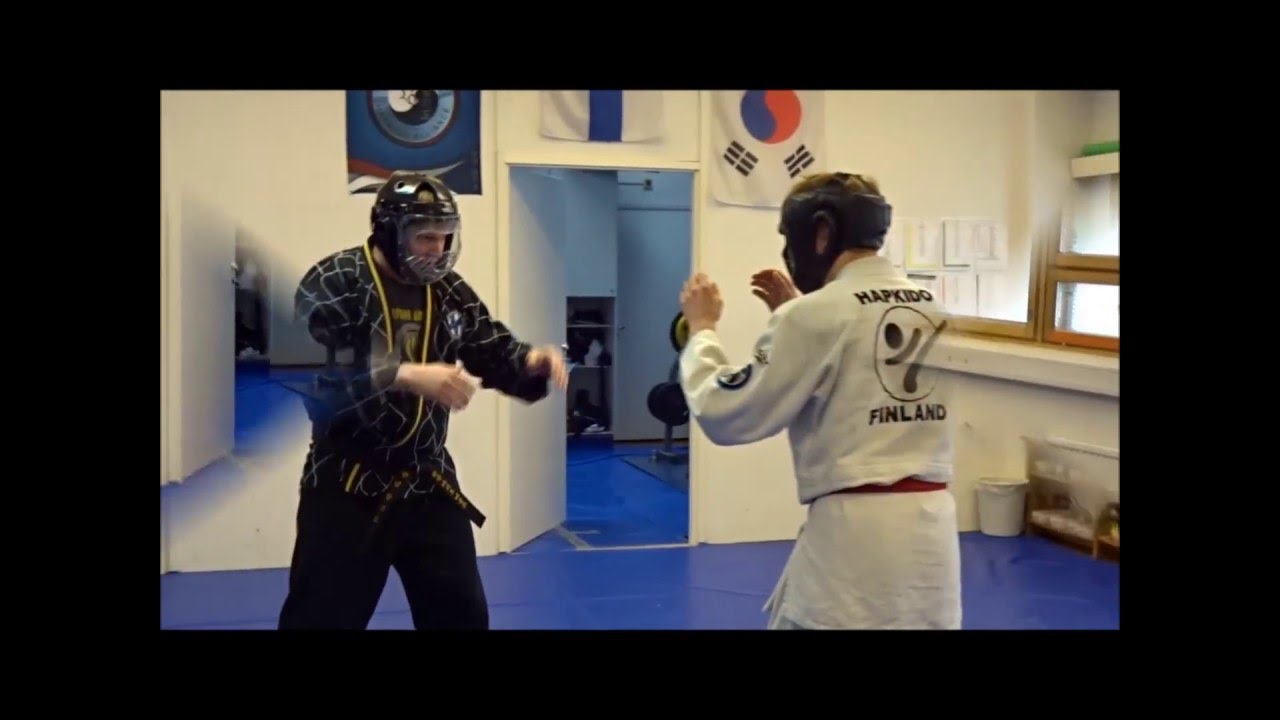 Hapkido training