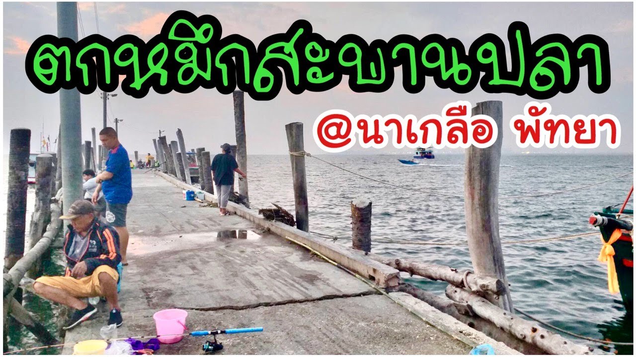 ตกปลาหมึก สะพานปลานาเกลือ พัทยา หมายตกปลาพัทยา ตกหมึกชายฝั่ง