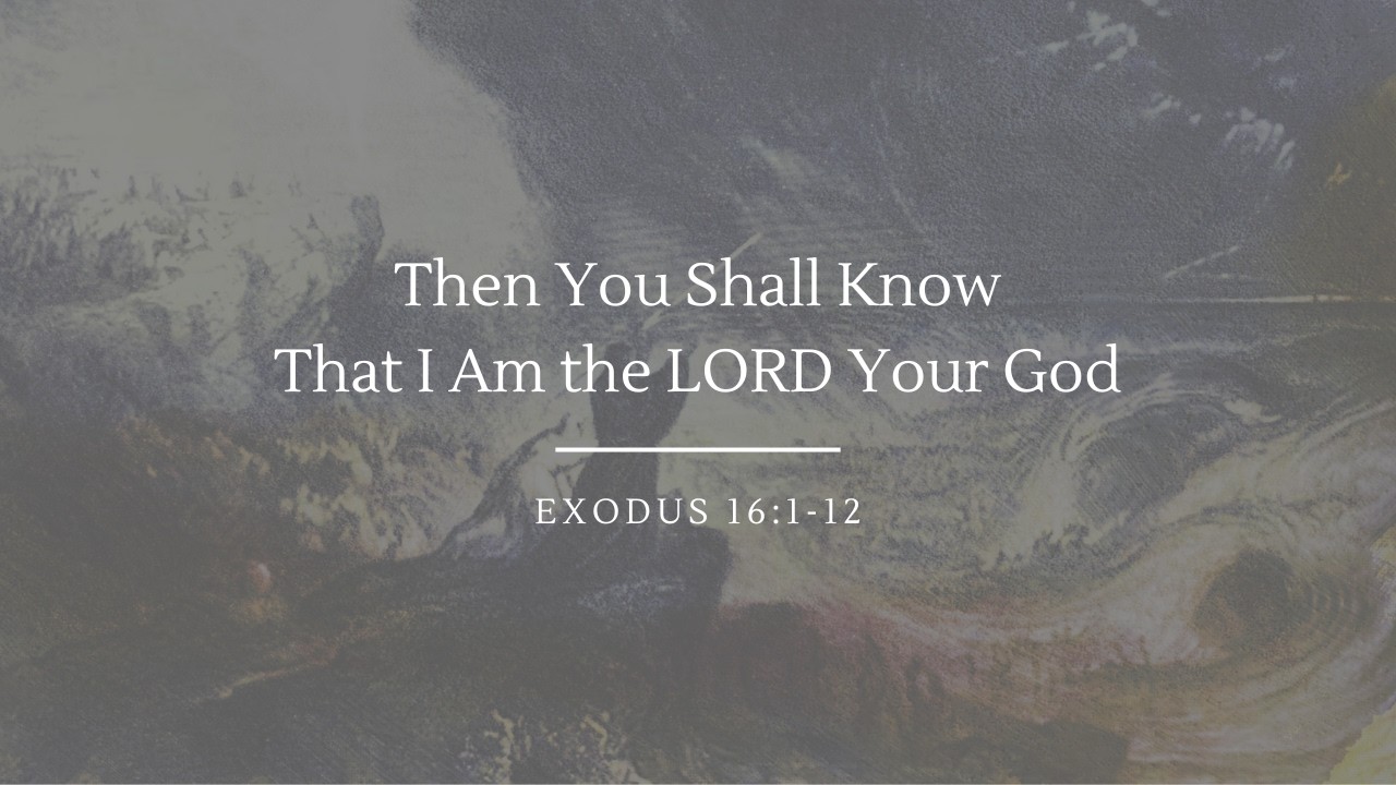 Then You Shall Know That I Am the LORD Your God | Exodus 16:1-12