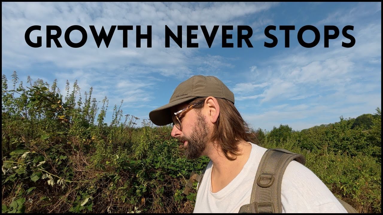 When Growth Looks Like Stagnation