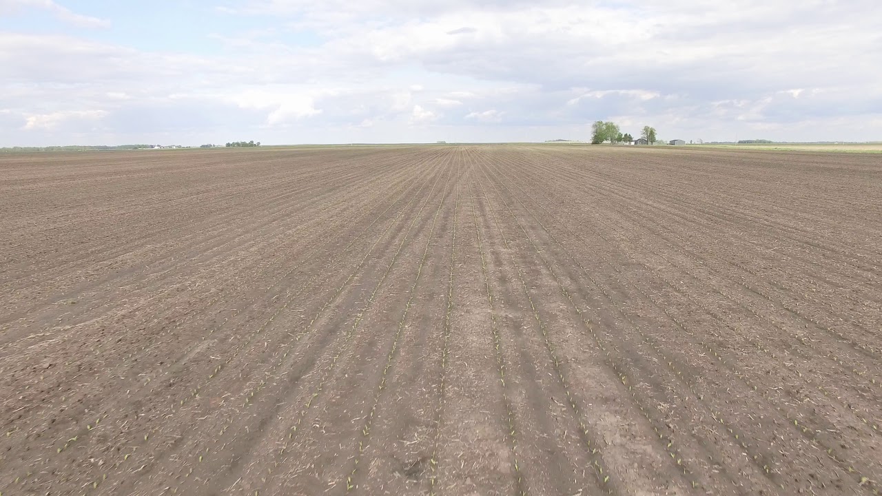 Crop Scouting: From Above