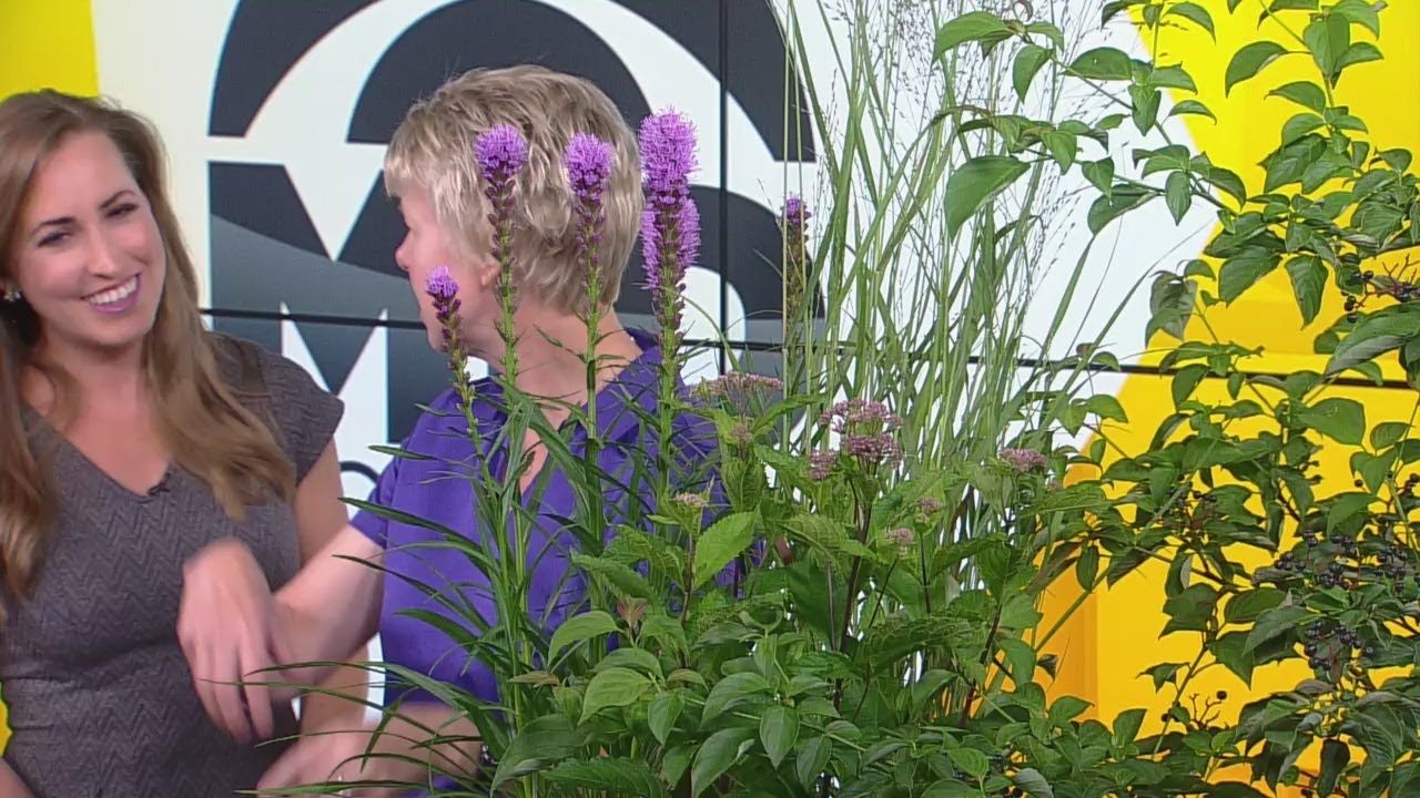 The Benefits Of Gardening With Native Minnesota Plants