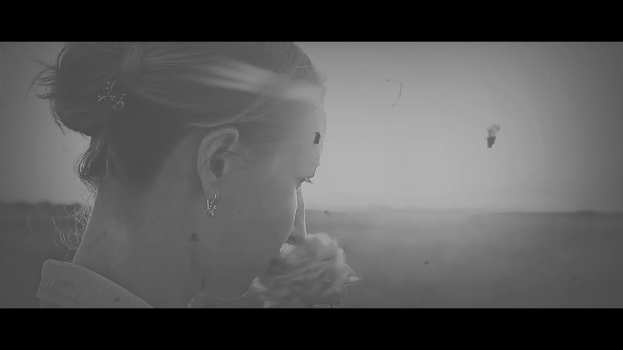 Strangerland -Scent of a rose