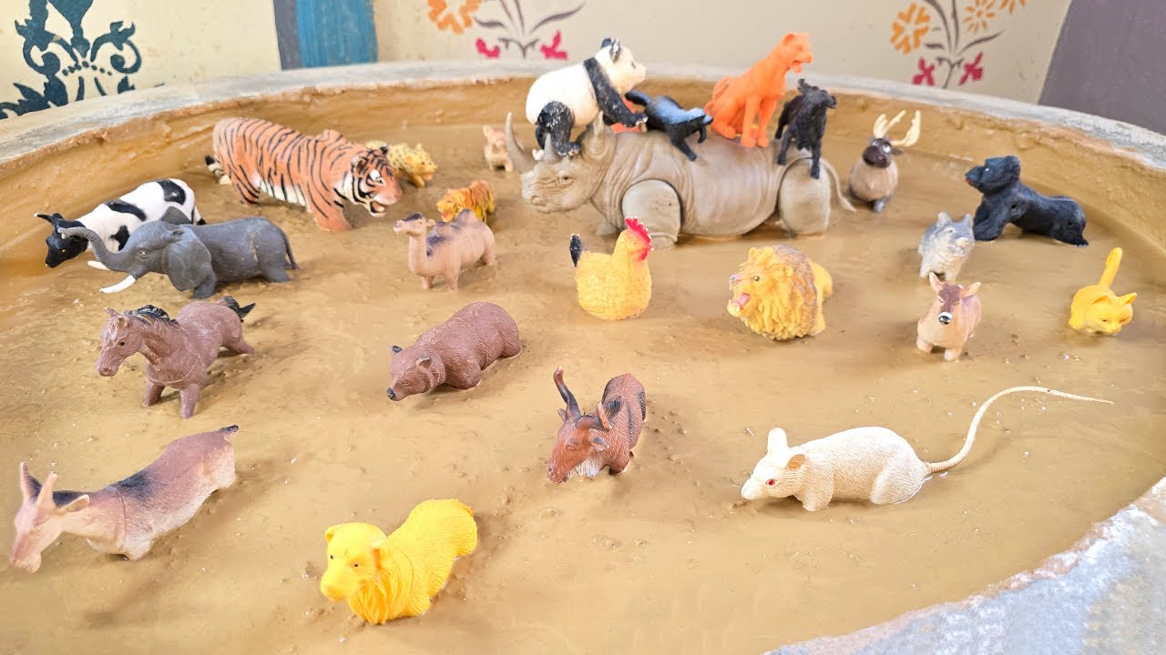 Добро пожаловать в лес: незабываемое путешествие с сельскохозяйственными и дикими животными.