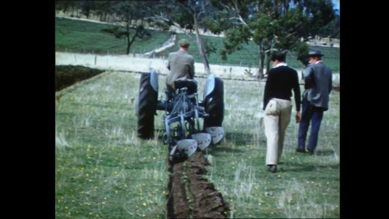 Fergies in the Fields - Rare 1949 Tractor Footage from Tasmania