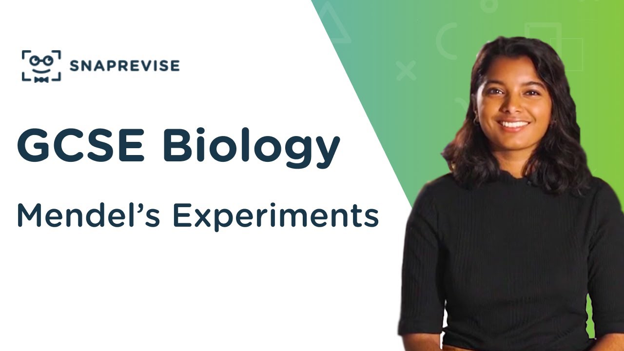 Mendel's Experiments | 9-1 GCSE Science Biology | OCR, AQA, Edexcel