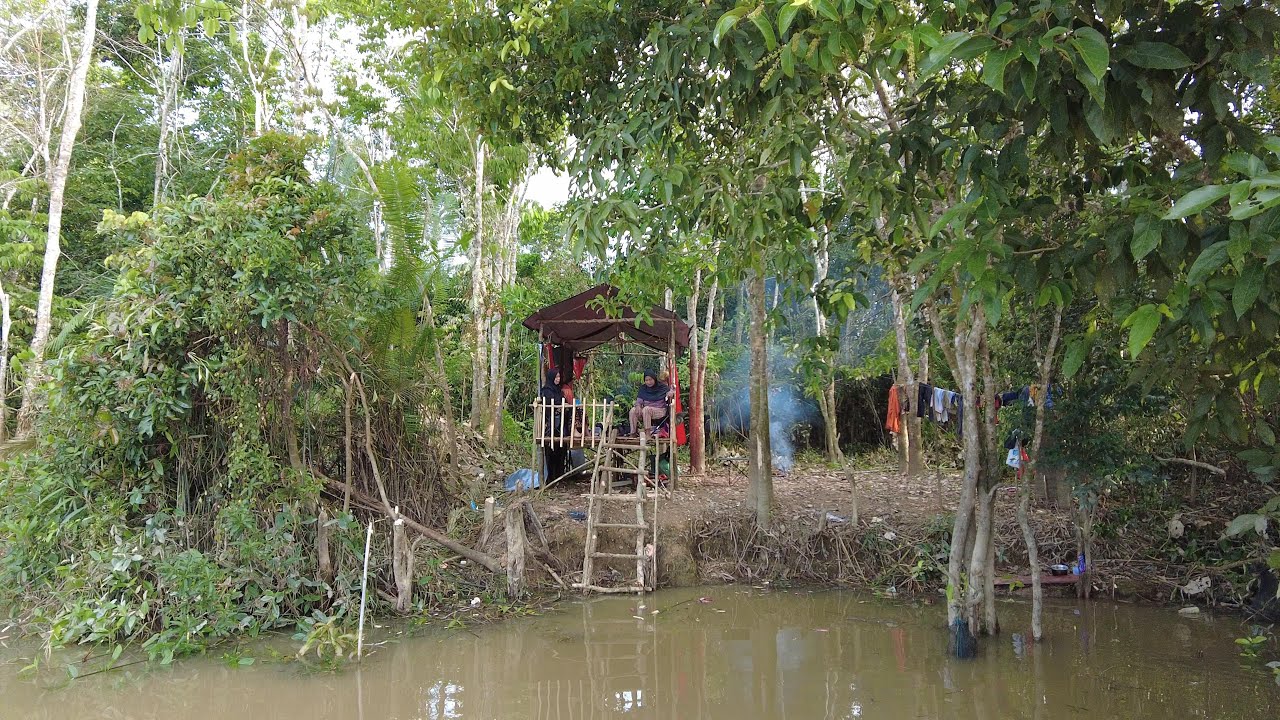 MEMBUAT SHELTER DI PINGGIR SUNGAI BESAR DAN BERMALAM SERTA PANEN IKAN SAAT RAWAI MULAI MENGERUH..