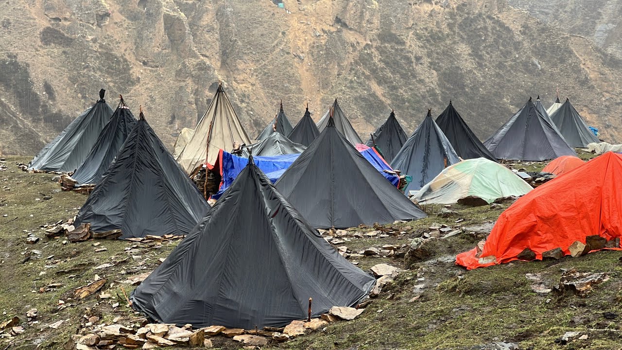 Most Beautiful And Relaxing Himalayan Village Life Dolpa Nepal || Life Of Yarsagumba Hunters.