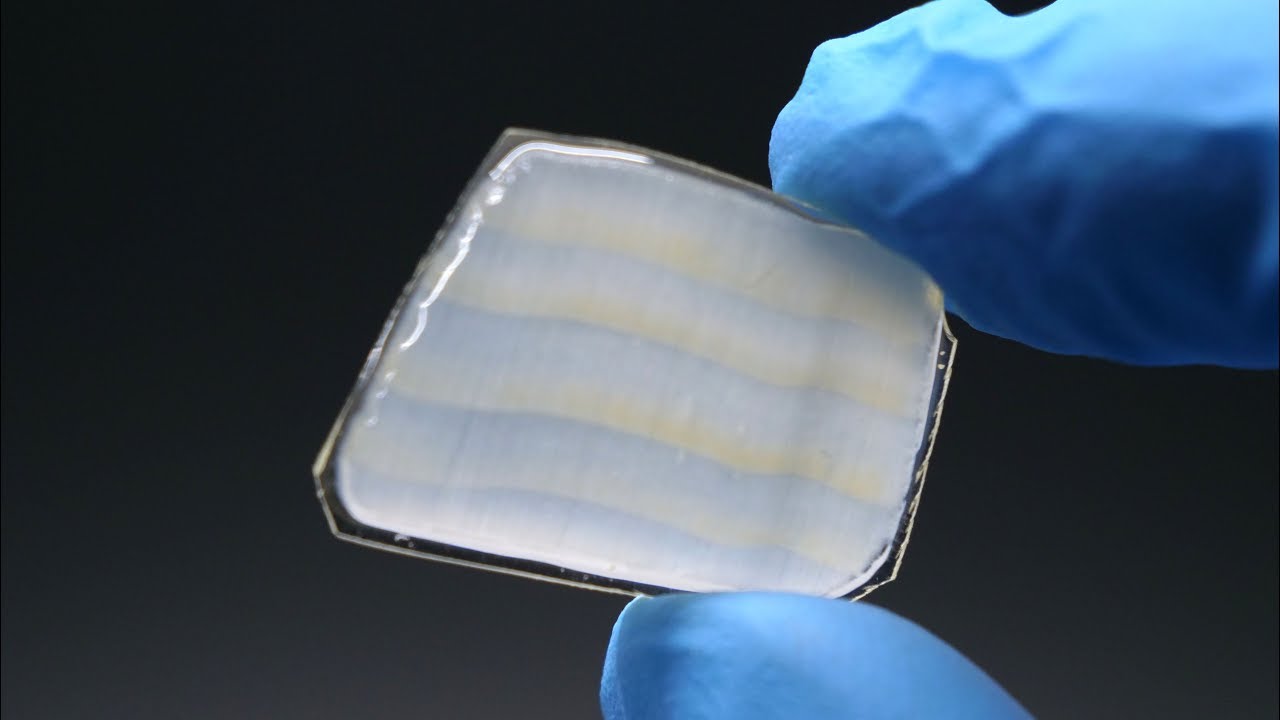 Attempting to make transparent wood