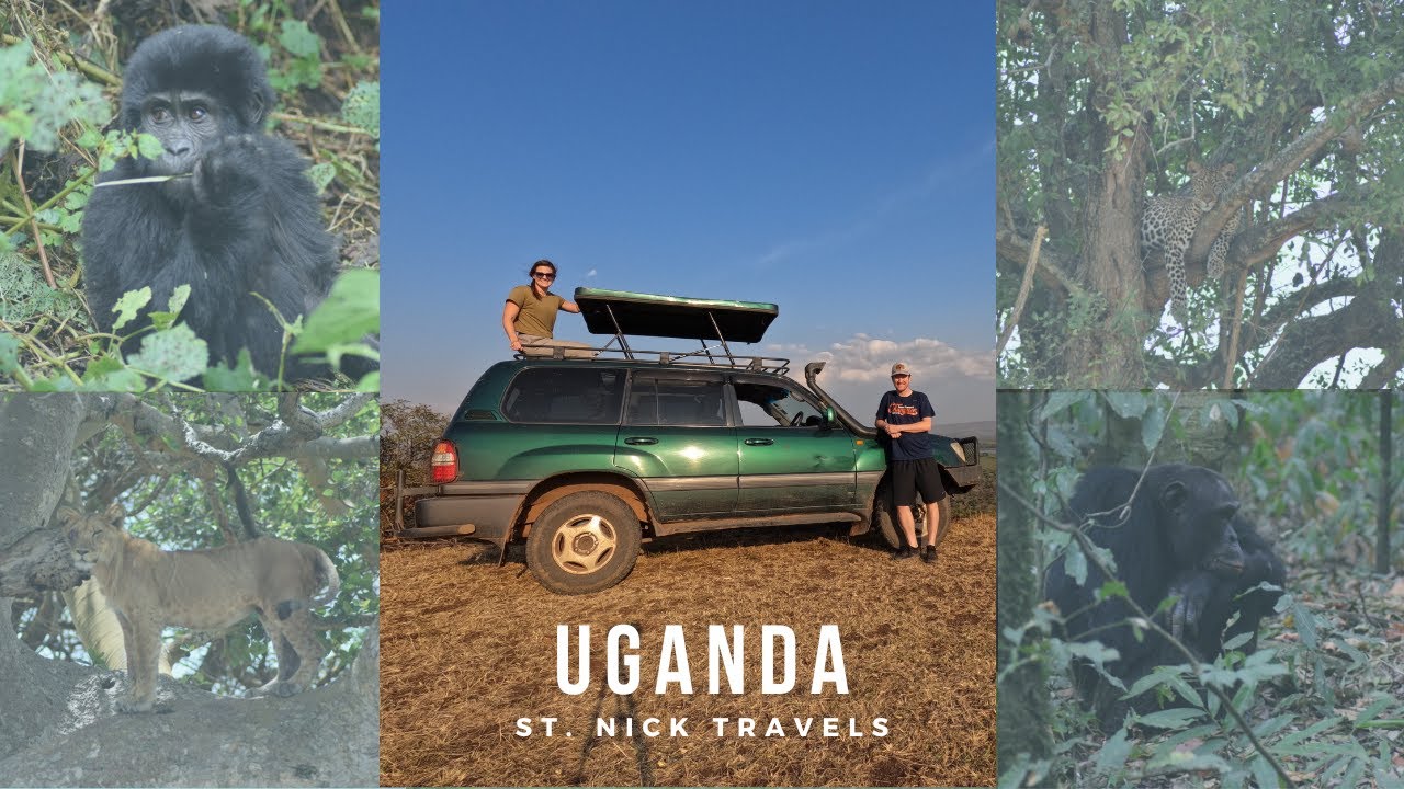 Uganda Self-Drive Guide: Essential Tips for a Safe & Epic Road Trip