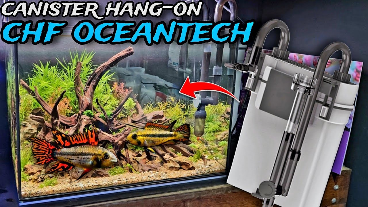 REVIEW CANISTER HANG ON OCEANTECH CHF 300 E CHF 500 - VALE A PENA?
