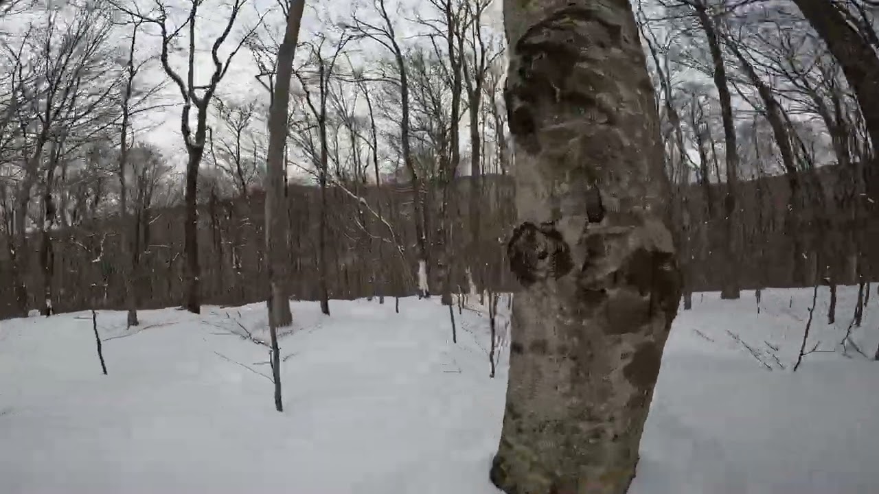 End of Presidents' Week - Another Lap in the Morse Bowls - Smugglers Notch (2026)