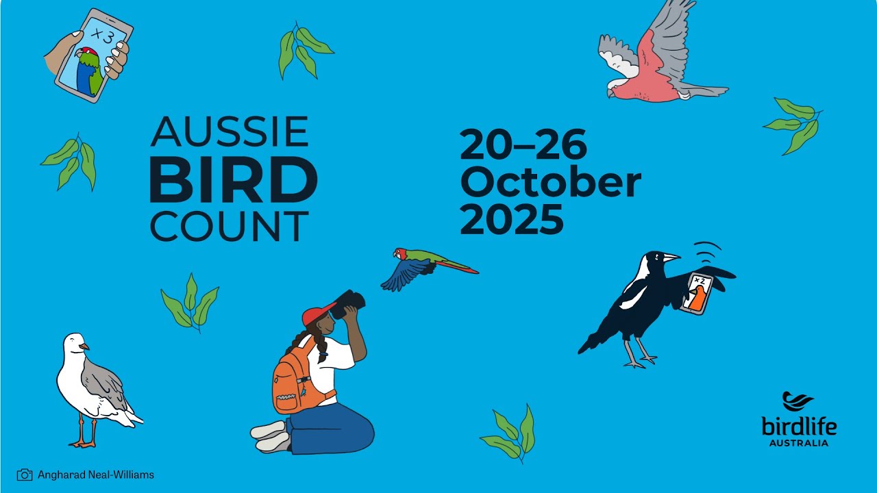 BirdLife Australia Aussie Bird Count 2025