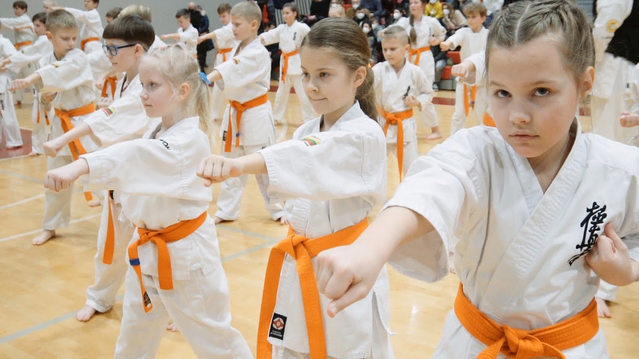 karate kyokushin belt exam, kyokushin belts testing motivation 2022