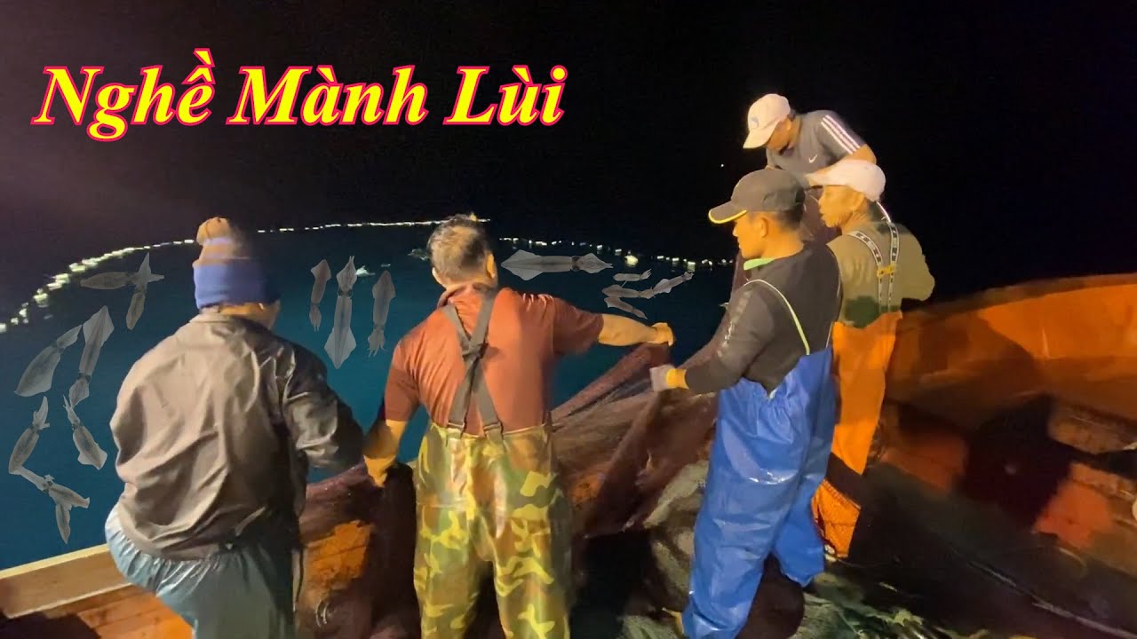 Nghề mành lùi đánh bắt mực chạy tới điểm câu cá cam - Dân Biển